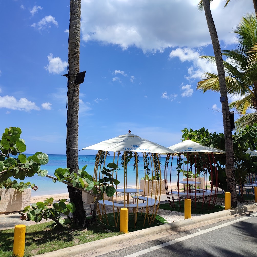 Tables under white umbrellas among the coconut palms, facing the sea at Punta Popy
