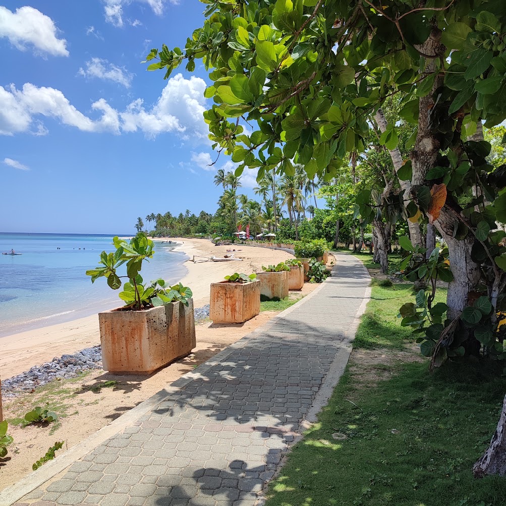 Paved path along Punta Popy beach, between the trees and the sea