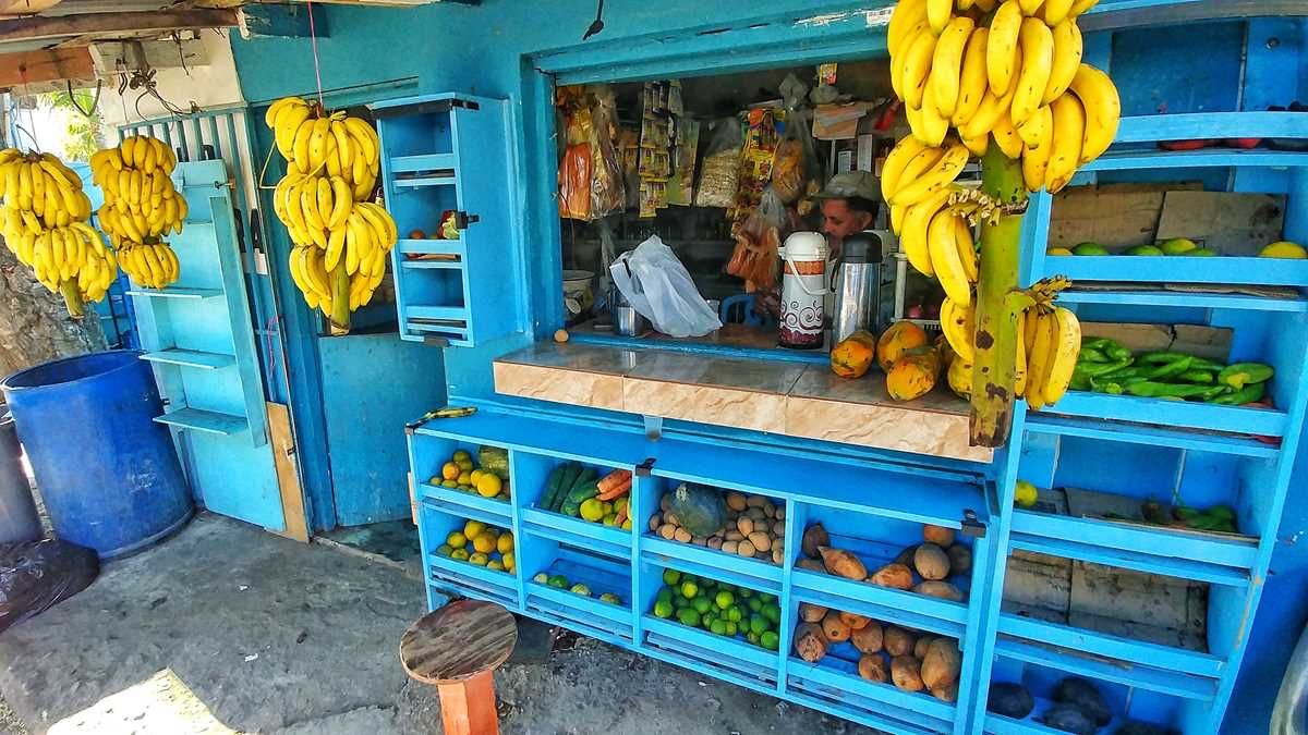 Colmado azul con racimos de guineos colgados y frutas en los estantes