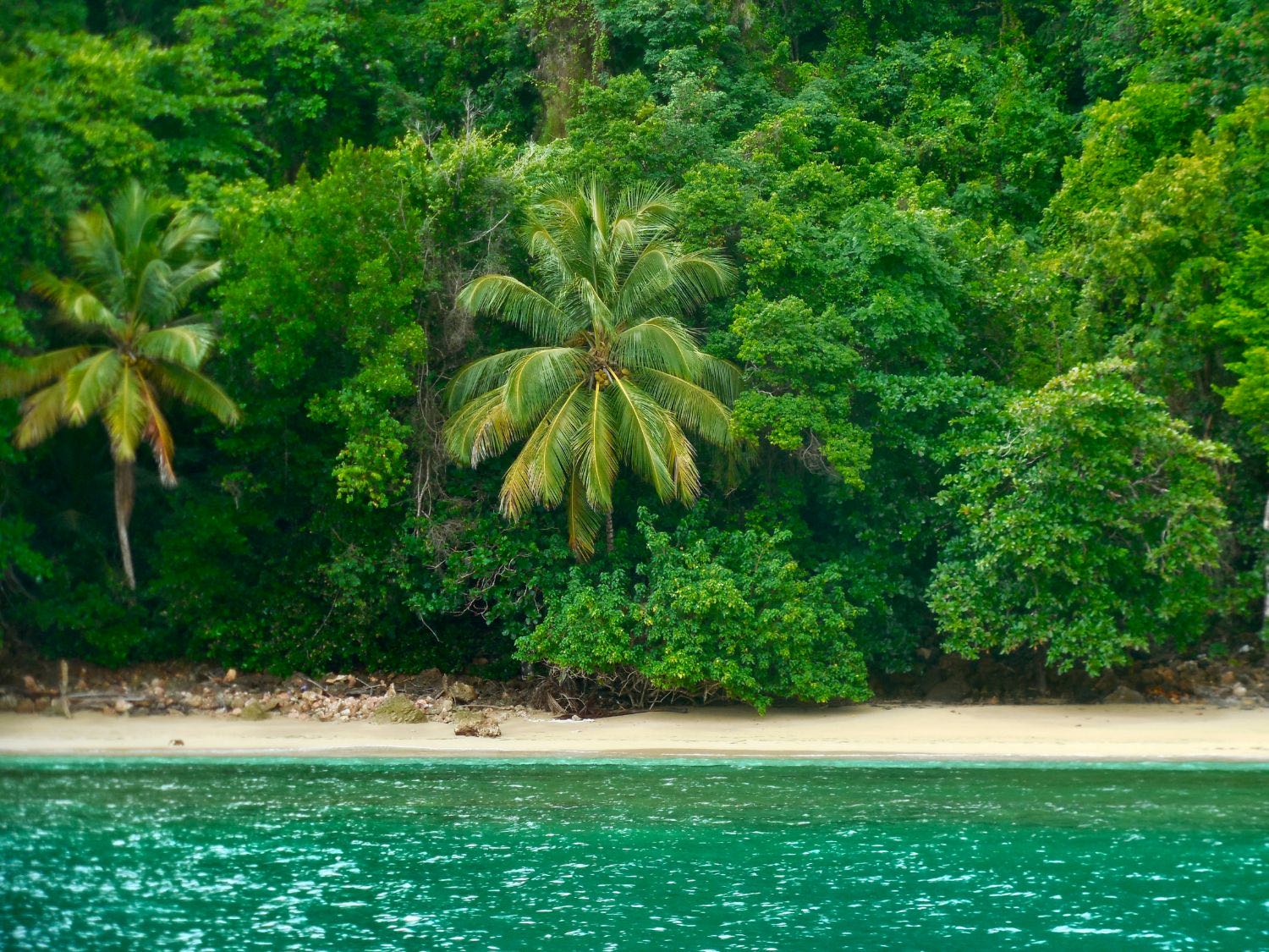 Cove of pale sand backed by dense forest, emerald water