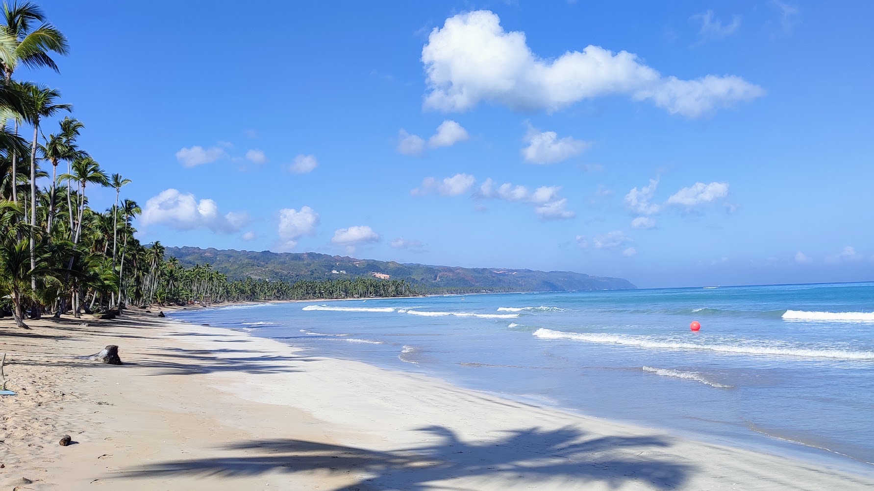 Larga playa de arena bordeada de cocoteros en Playa Cosón, montañas a lo lejos