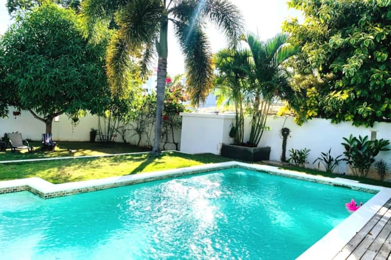 Villa Raf, la piscina y el jardín tropical